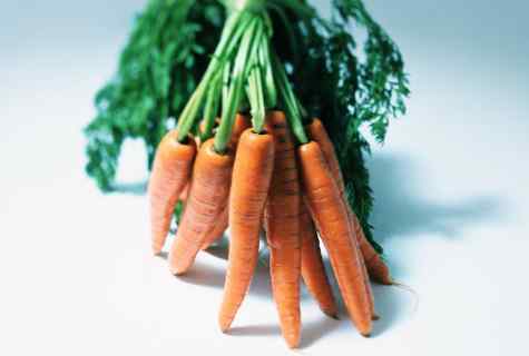 Whether it is possible to plant carrots on winter and when