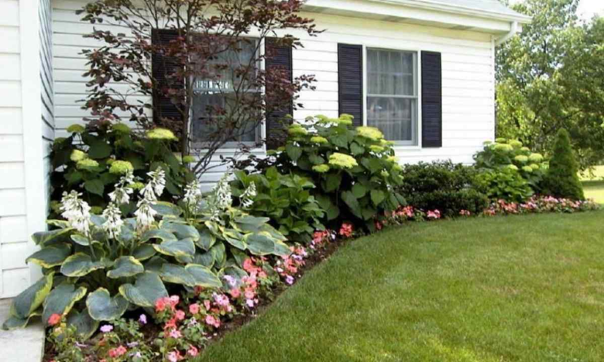 House flower bed
