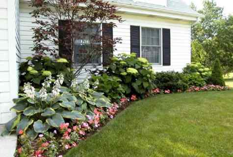 House flower bed