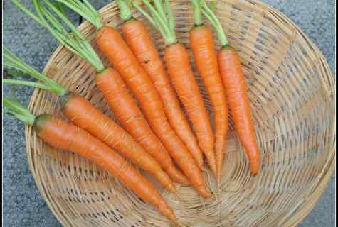 How to choose carrots seeds