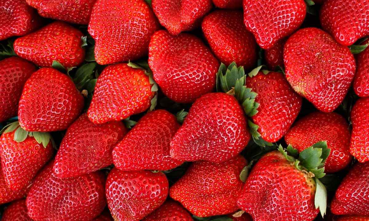 What best grade of strawberry for midland