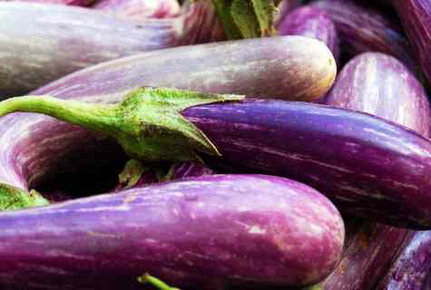 How to choose seeds of eggplants