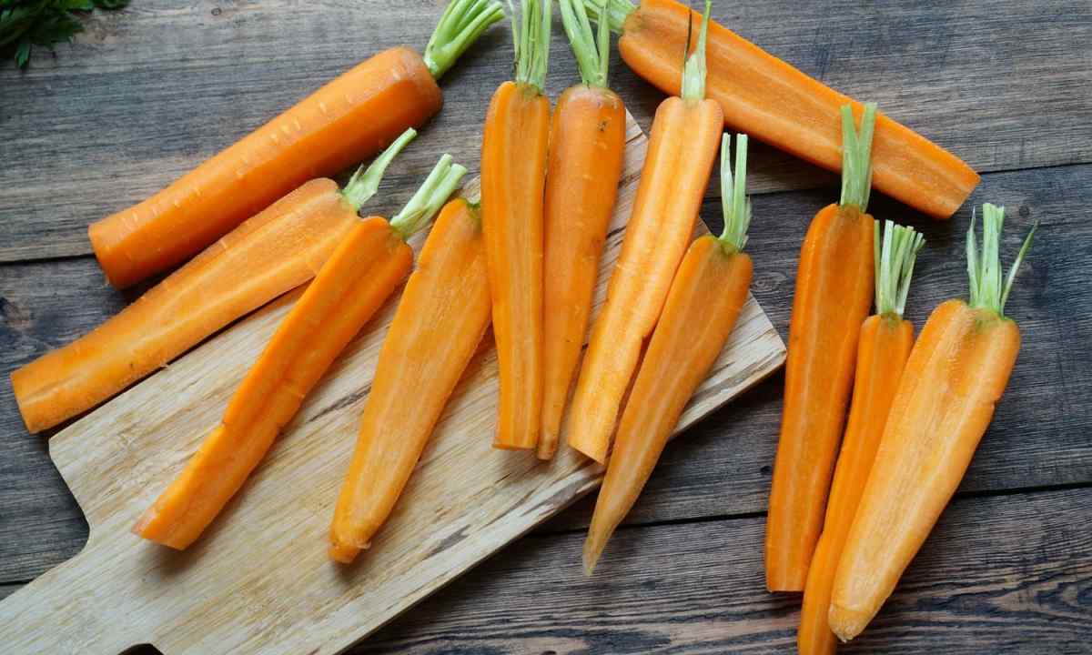 Landing of carrots - useful tips