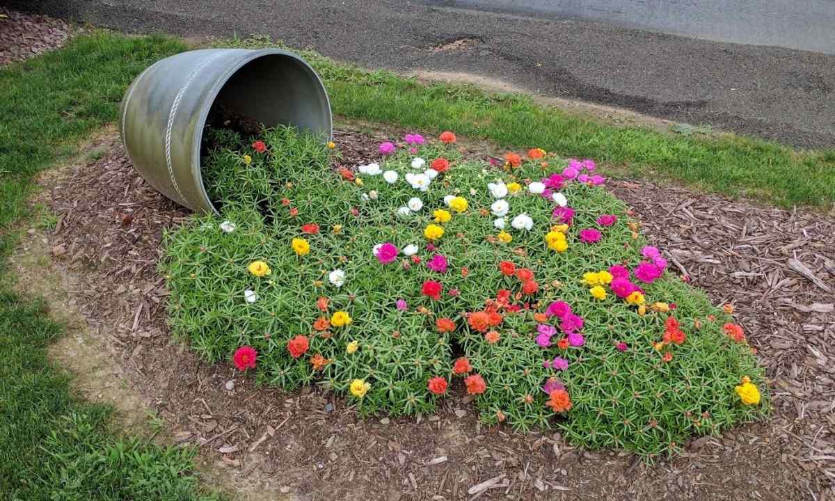 Local flower bed ""the spilled pot"