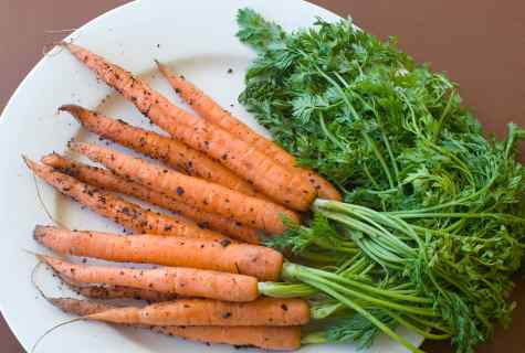 Than the carrots tops of vegetable is useful
