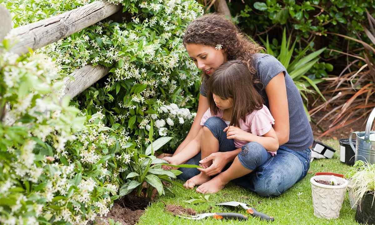 How to look after garden in July