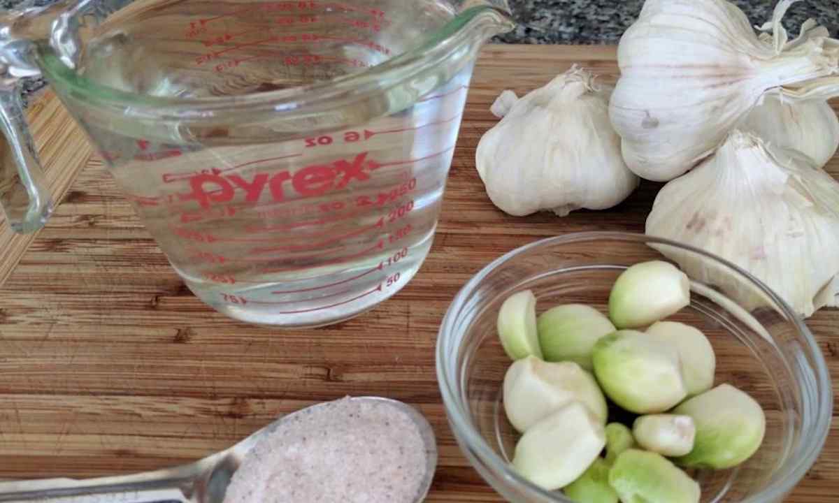 As it is correct to water garlic