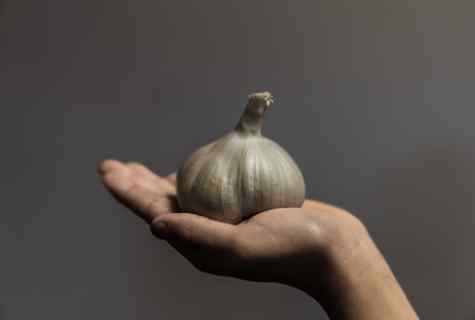 When it is better to plant garlic