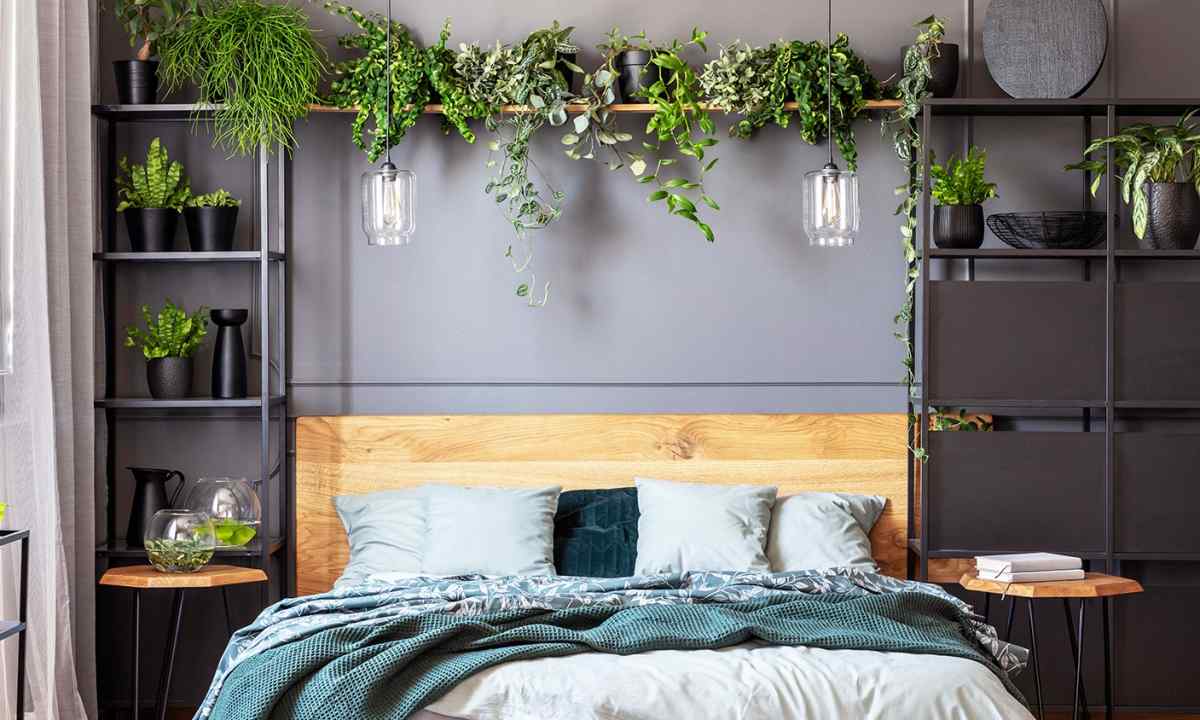 How to plant flowers on bed