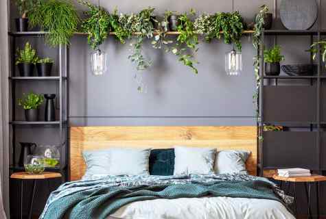 How to plant flowers on bed