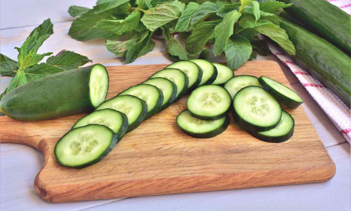 How to make simple and warm bed for cucumbers