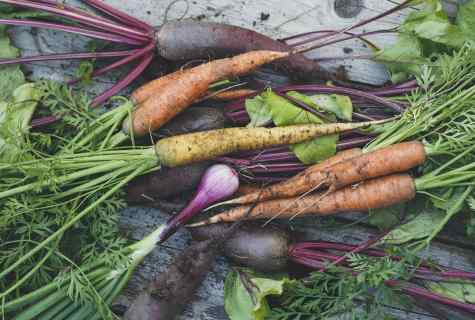 When to remove beet and carrots