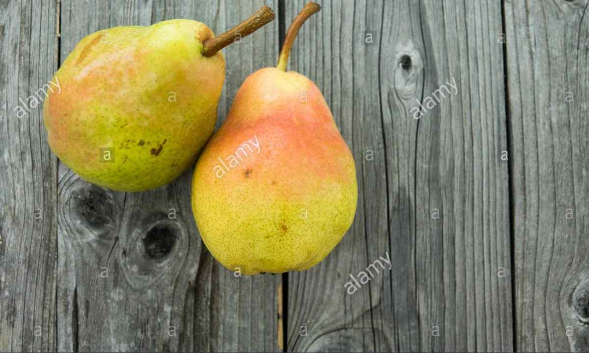 How to thin out apple-trees and pears