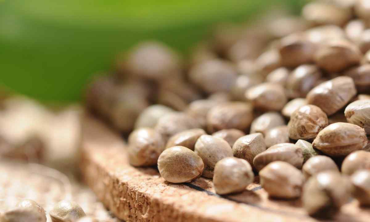 How to couch seeds in tablet