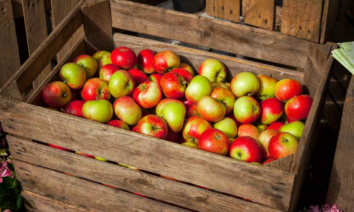 How to select apples on storage
