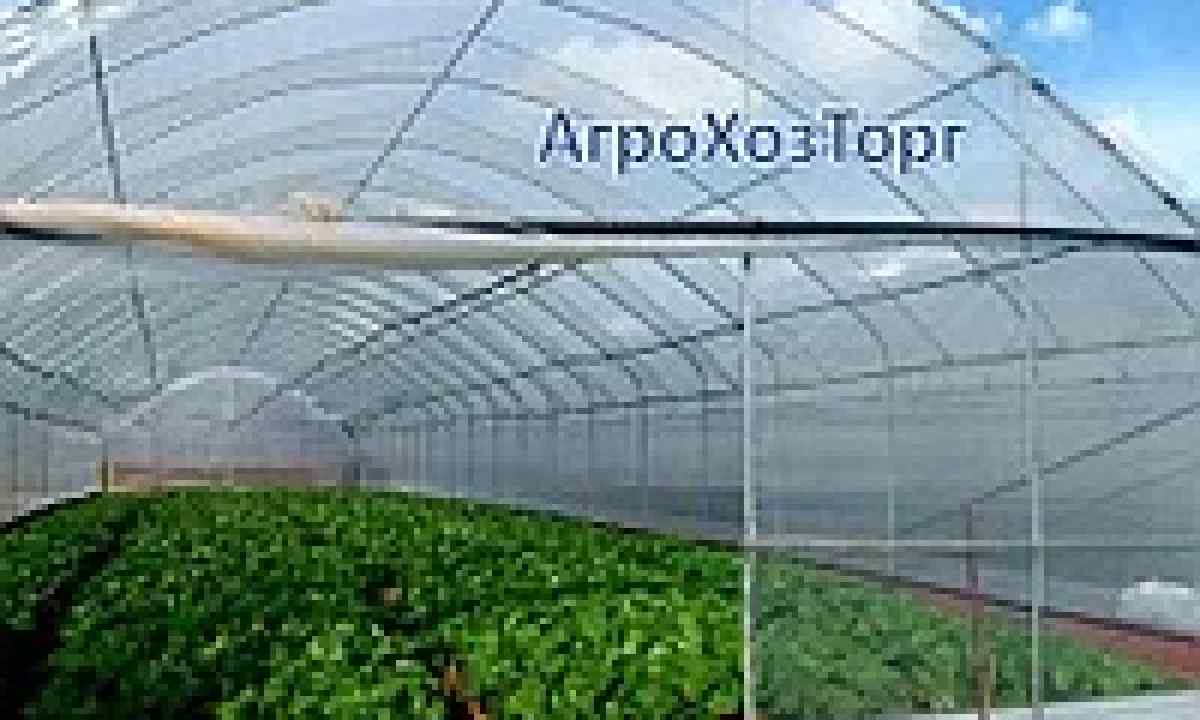 How to choose cellular polycarbonate for the greenhouse
