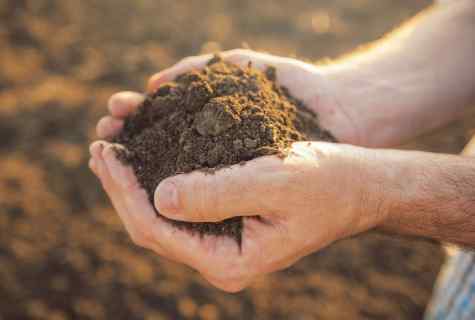 How to improve the sandy soil