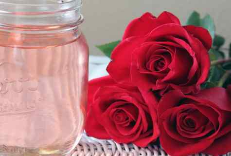 How to water roses