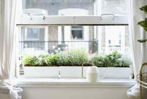 How to put on windowsill