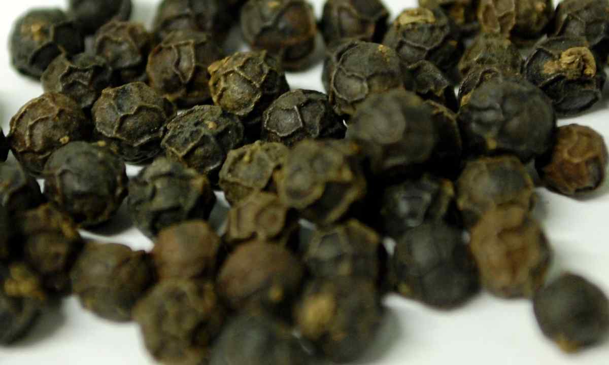 How to couch pepper seeds