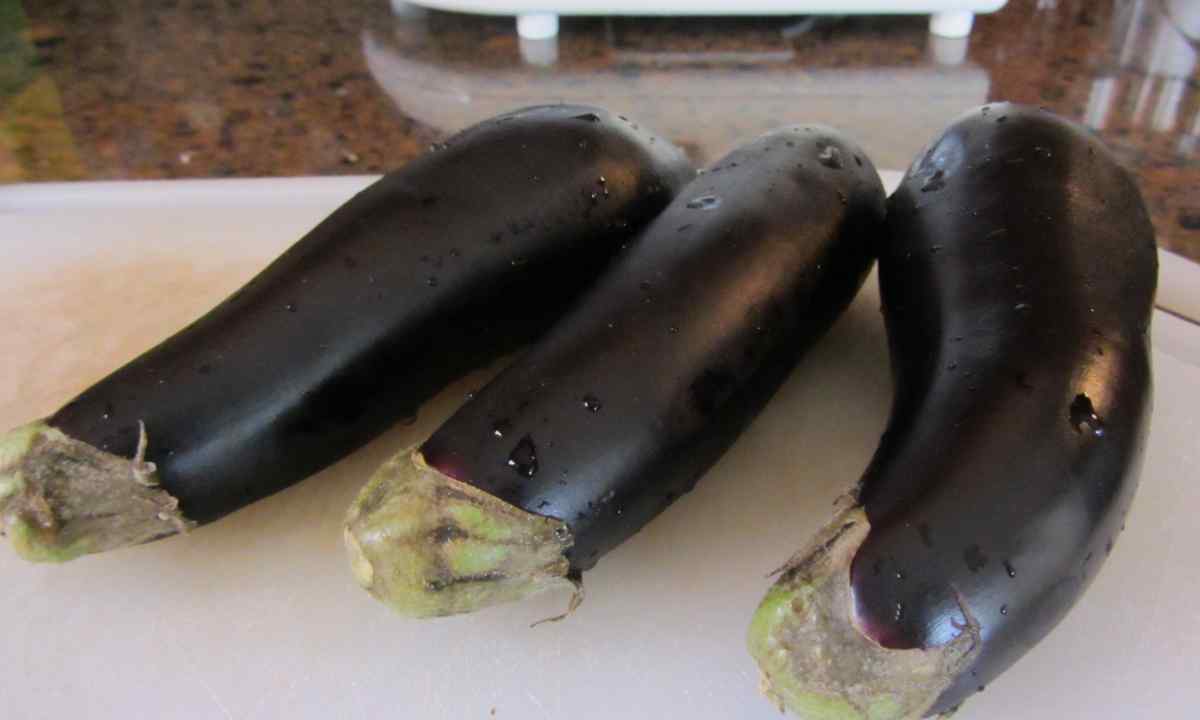 Why leaves at eggplants during fructification fade