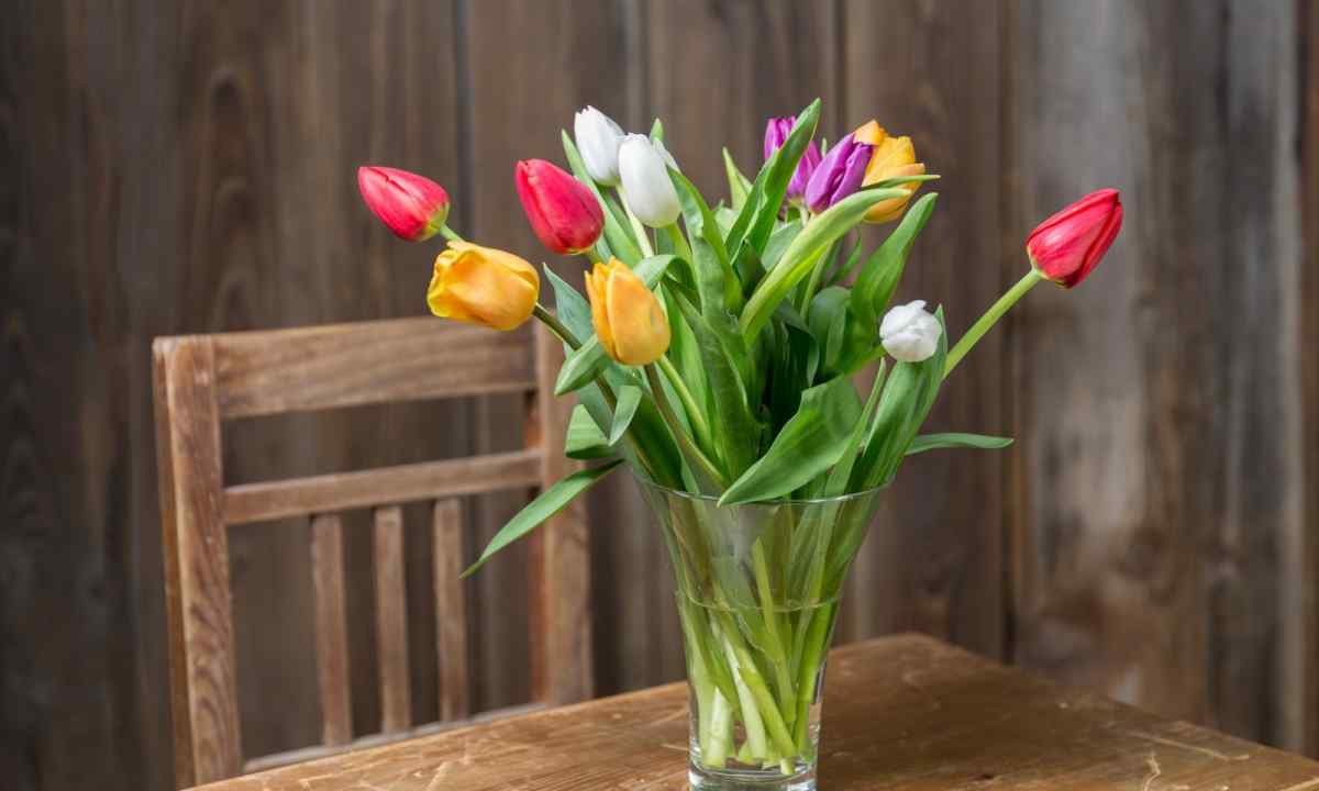 How longer to keep bouquet of tulips in vase
