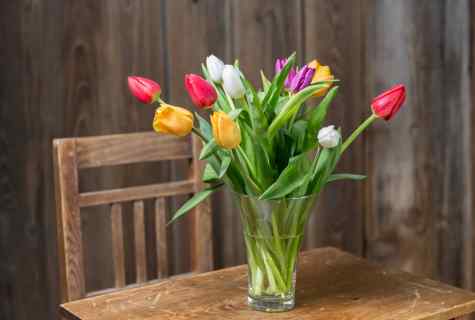 How longer to keep bouquet of tulips in vase