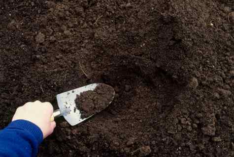 How to restore the soil