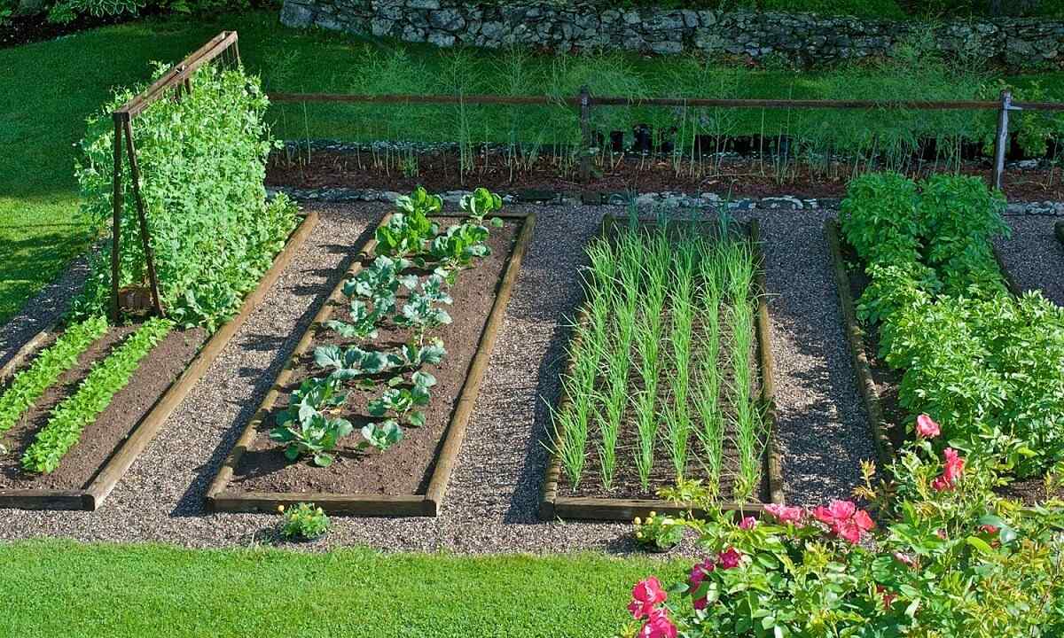 How to make garden var