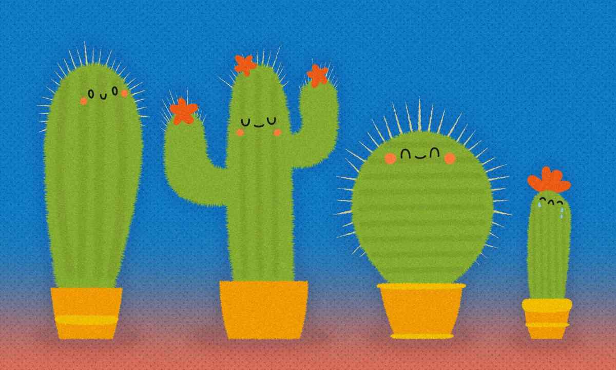 Why the cactus can die