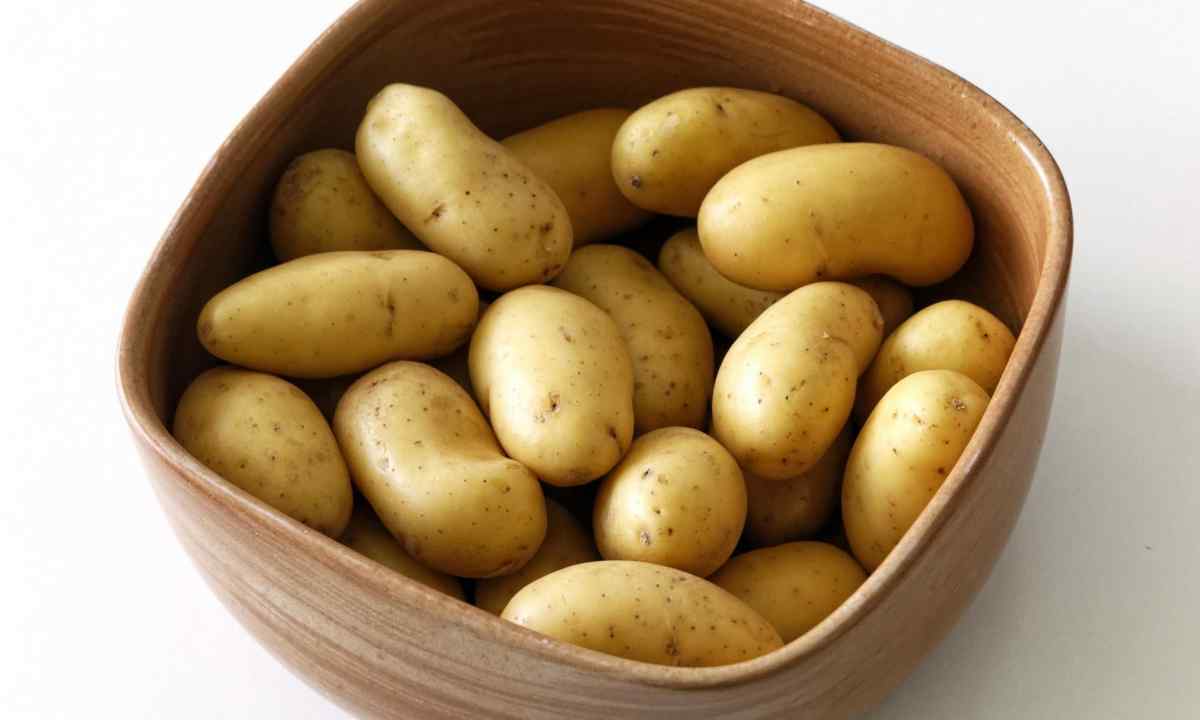 How to increase productivity of potatoes