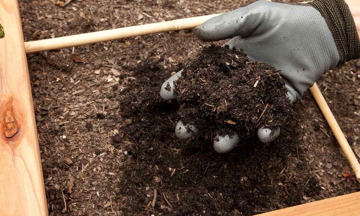 Fertilizers: how to make good compost