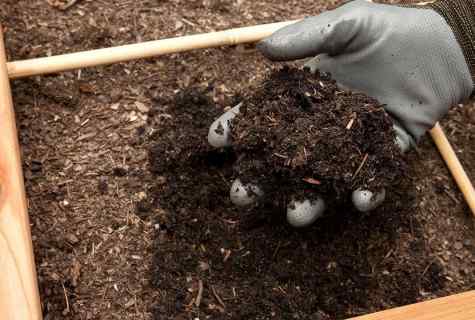 Fertilizers: how to make good compost