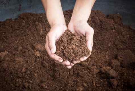 All about peat as fertilizer
