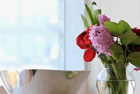 How to keep freshness of cut flowers