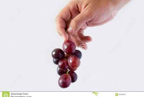 How to make lane for grapes with own hands