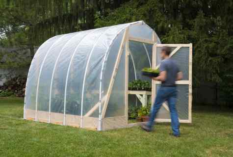 How to choose covering for the greenhouse
