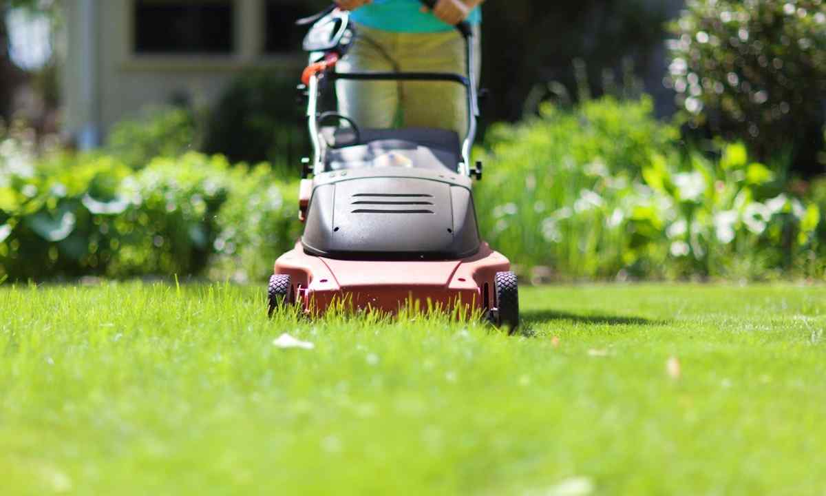 How to use mowed grass as fertilizer