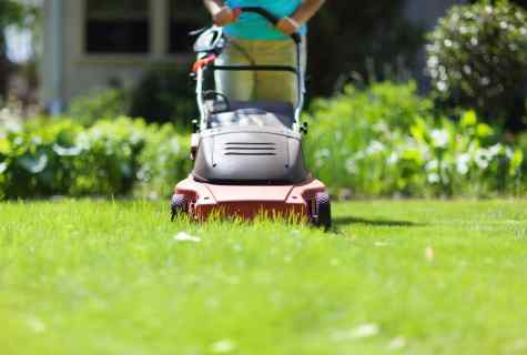 How to use mowed grass as fertilizer
