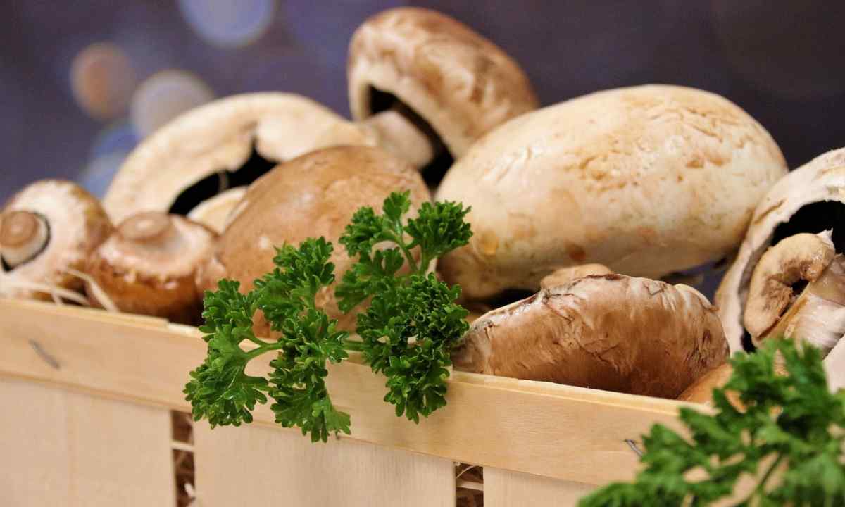 How to part champignons