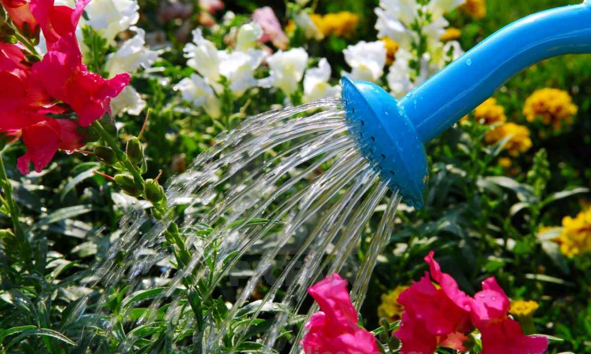How to soften water for watering of flowers