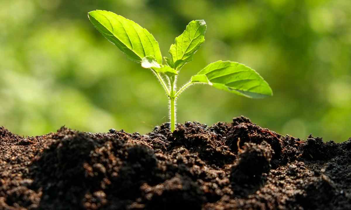 How to improve soil