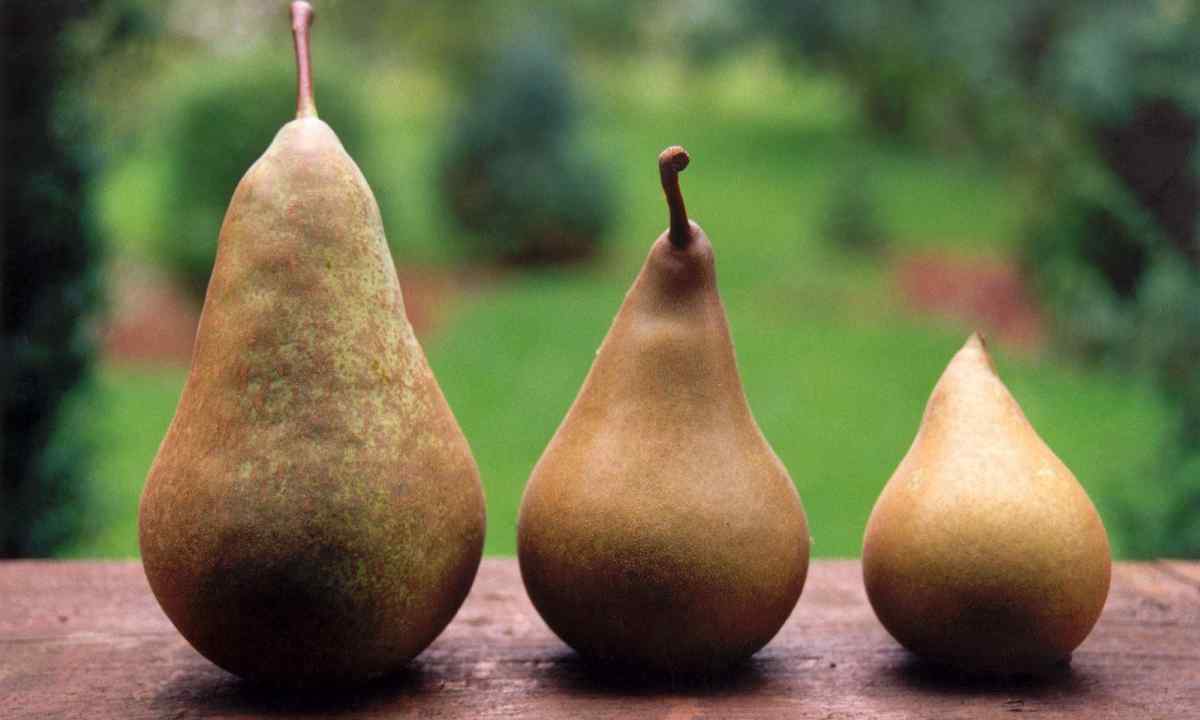How to impart pear