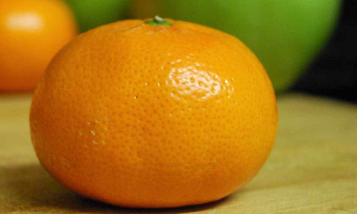 How to look after tangerine
