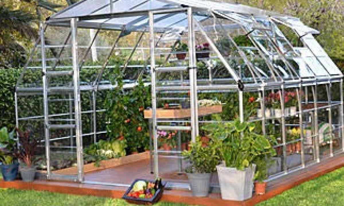 How to establish the greenhouse from polycarbonate