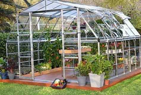 How to establish the greenhouse from polycarbonate