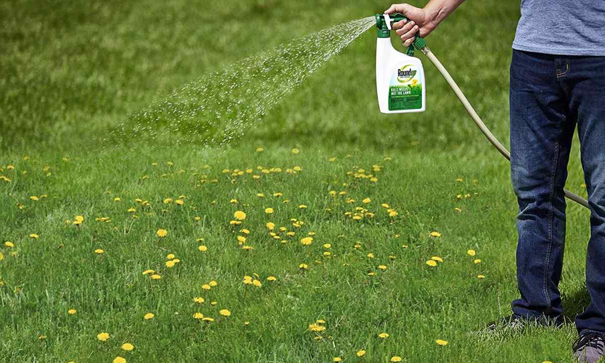 How to prevent emergence of weeds
