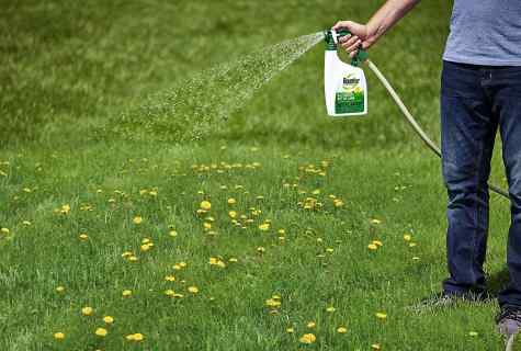 How to prevent emergence of weeds