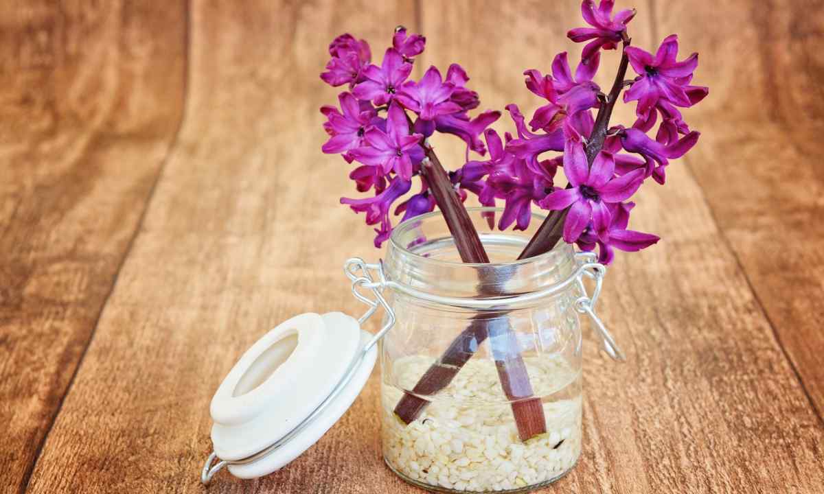 How to prolong life to lilac bouquet
