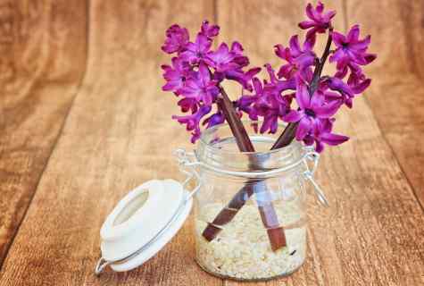 How to prolong life to lilac bouquet